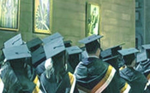 ʦ����ҵ��ʵϰ����