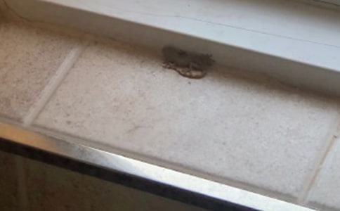 �ڻ����������ġ����㡿