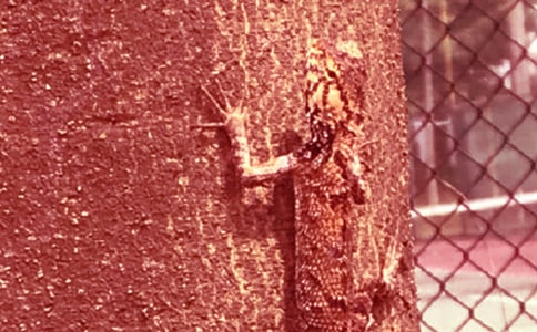 �ڻ�����ʾ����