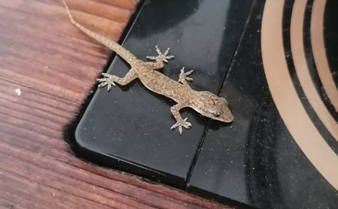 С�ڻ�����(���15ƪ)