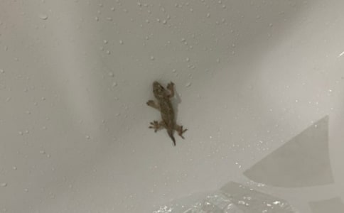 С�ڻ���β�ͽ̰�