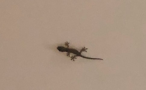 С�ڻ�����15ƪ