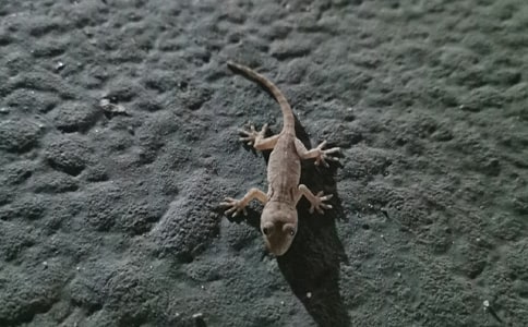 ��С�ڻ���β�͡����ʿν̰�