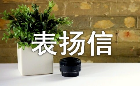 ������д������