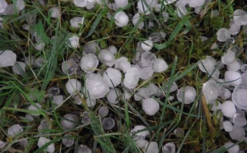 �±������ļ���15ƪ