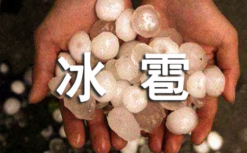 ���ڱ�������������