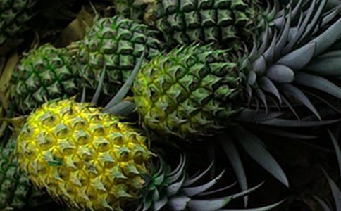 ���ܵ���������(6ƪ)