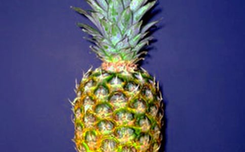 ���ܵ���������2ƪ