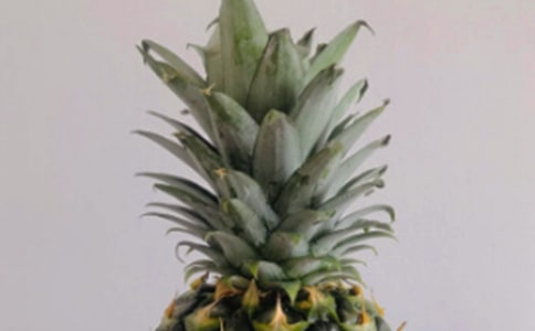 �ҺͲ��ܵĹ�������