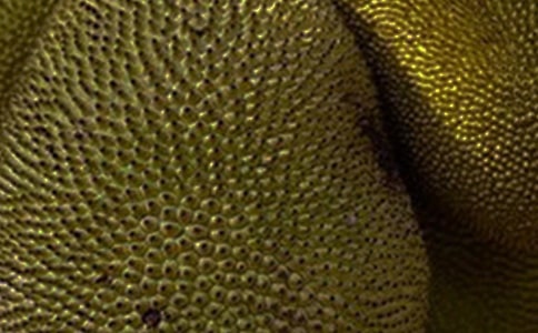 ��������������