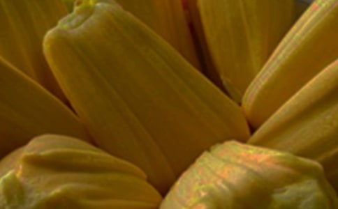 �óԵĲ���������