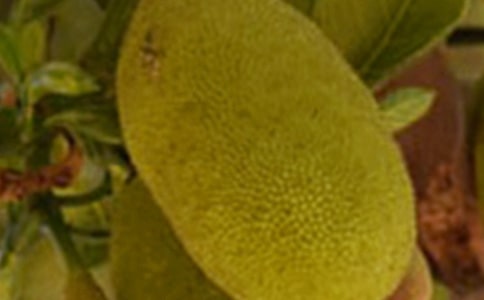 �óԵĲ��������ģ���ѡ10ƪ��