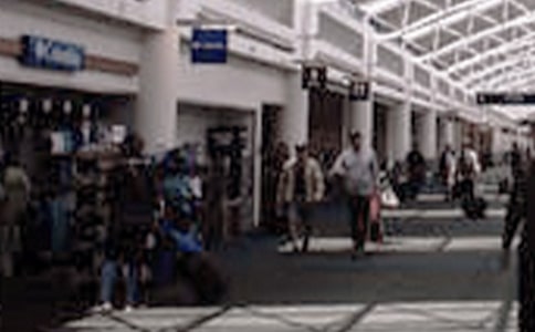 �ι��ٹ��߲˲��������ġ���ȫ3ƪ��