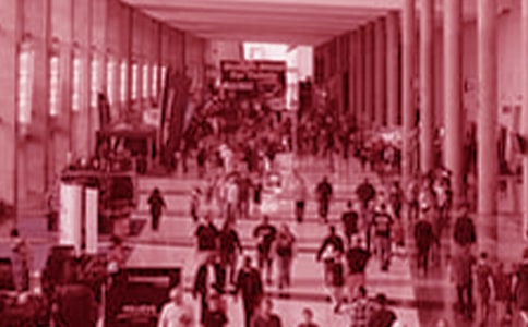 参观寿光蔬菜博览会作文3篇(实用)