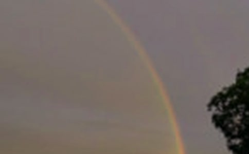 �����βʺ�̰�