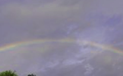 С�������ʺ��ǽ̰�