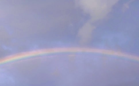 �ʺ����� 