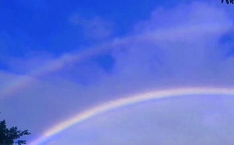 [�Ƽ�]�ʺ�����