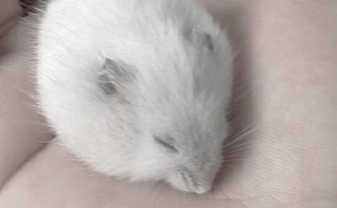 �ҼҵĲ������ĺϼ�15ƪ