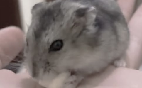 ��������������������14ƪ