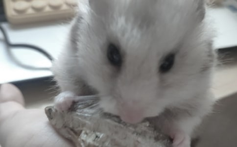 �ҼҵĲ�������(15ƪ)