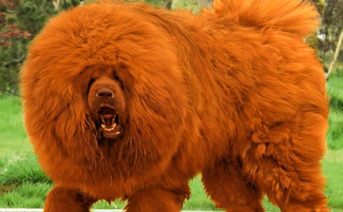 ��д����ľ���