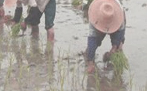 �����������ģ�ͨ��39ƪ��