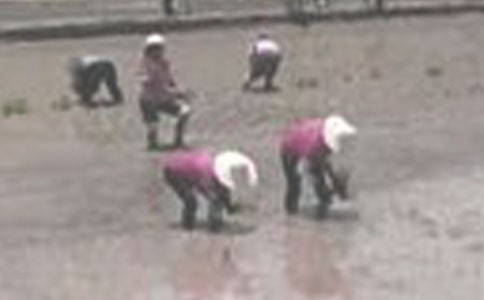 һ�꼶�²ᡶ������ ����˼��