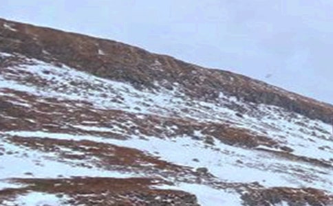 ����ɽ�����������