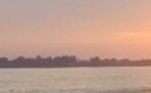 ���㳤������