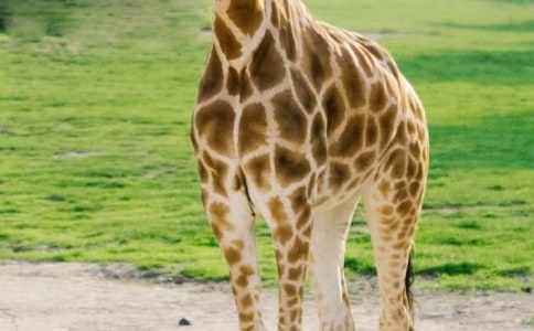 �������������¹���̰�