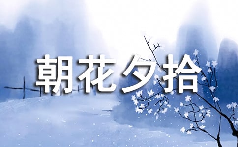 ����Ϧʰ��������