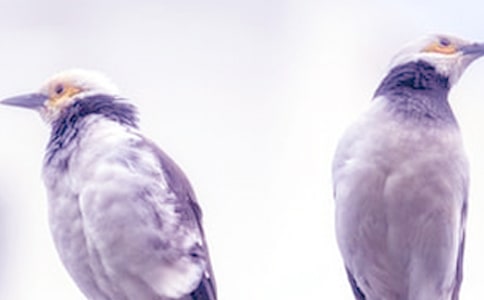 ���ܵ�����