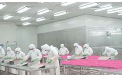 ���乤�����չ����ܽ�