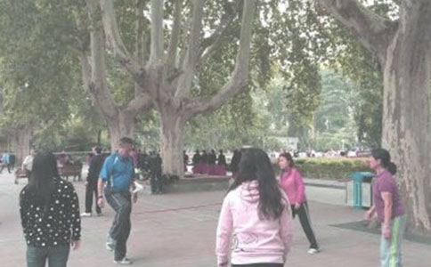 ���ڳ�������