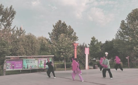 ������������ͨ��10ƪ