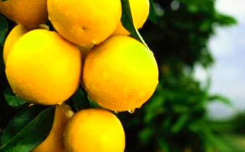 ����Сѧ��״������