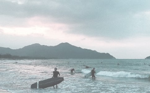 ������������