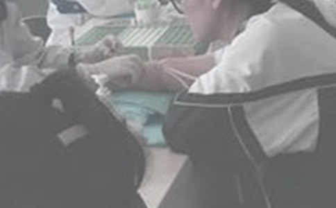 ���ĵ�һ�γ�Ѫ