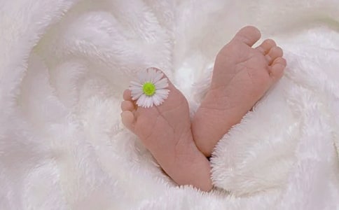 ����֤������ 