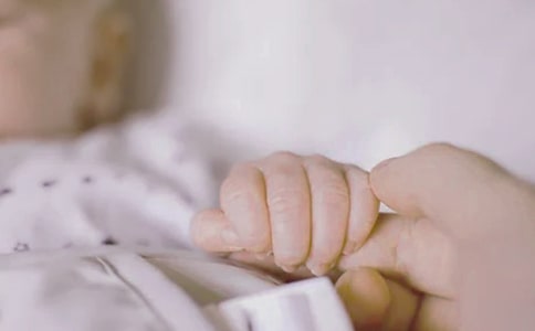 �������������