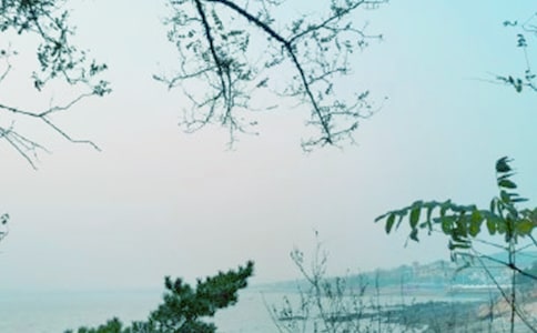 ����һ�ƴ�������