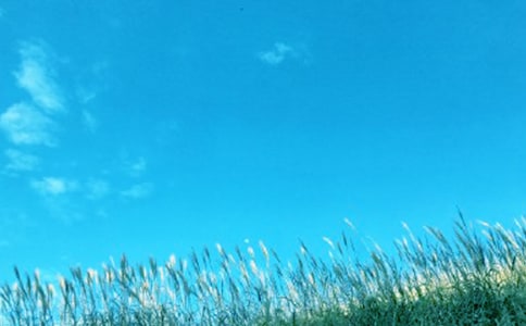 6�����紵�� ֮��