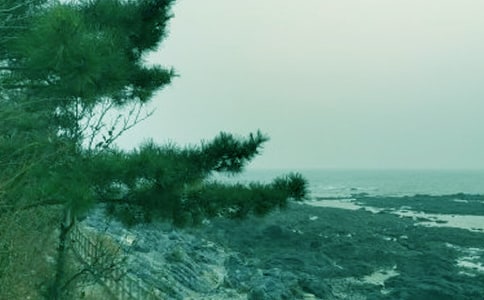 �����紵�� ֮һ