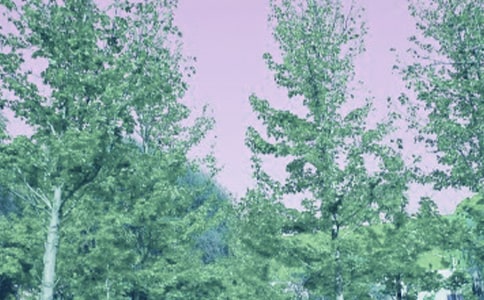 ����߶�����