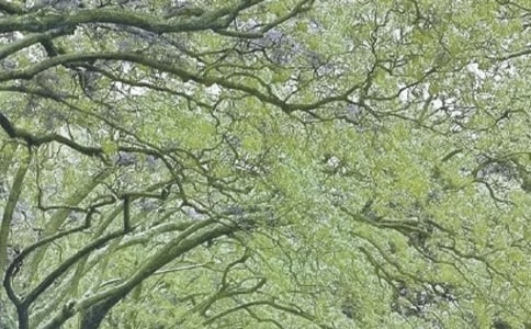 ���񴺷��ж������ܽ�