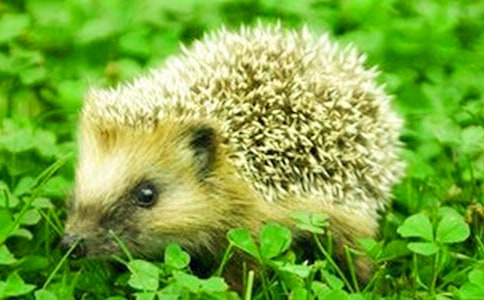 С��⬵���������