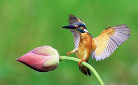 Сѧ���ġ����񡷽̰�