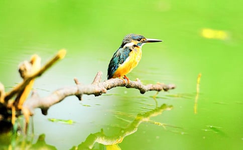 ���꼶���ġ����񡷽̰�(15ƪ)