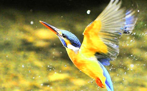 �������Ľ̰�